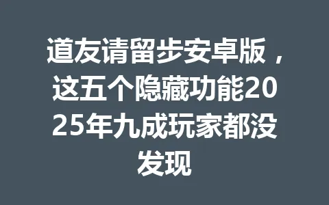 道友请留步安卓版，这五个隐藏功能2025年九成玩家都没发现 一