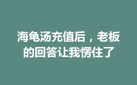 海龟汤充值后，老板的回答让我愣住了 一