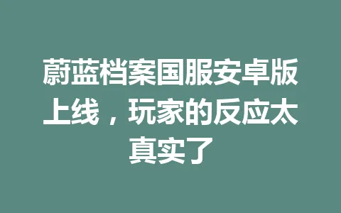 蔚蓝档案国服安卓版上线，玩家的反应太真实了 一