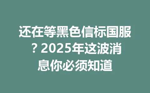 还在等黑色信标国服？2025年这波消息你必须知道 一