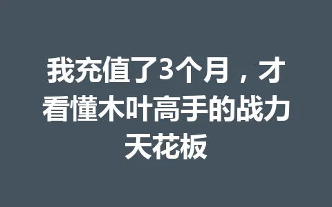 我充值了3个月,才看懂木叶高手的战力天花板 一