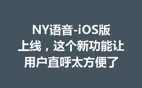 NY语音-iOS版上线，这个新功能让用户直呼太方便了 一