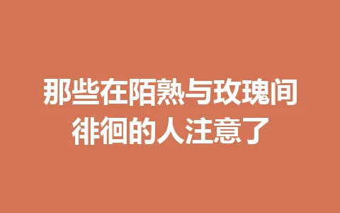 那些在陌熟与玫瑰间徘徊的人注意了 一