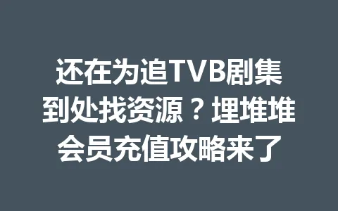 还在为追TVB剧集到处找资源?埋堆堆会员充值攻略来了 一