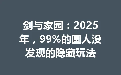 剑与家园：2025年，99%的国人没发现的隐藏玩法 一