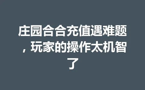庄园合合充值遇难题，玩家的操作太机智了 一