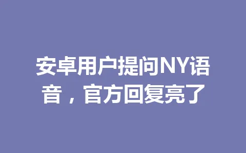 安卓用户提问NY语音，官方回复亮了 一