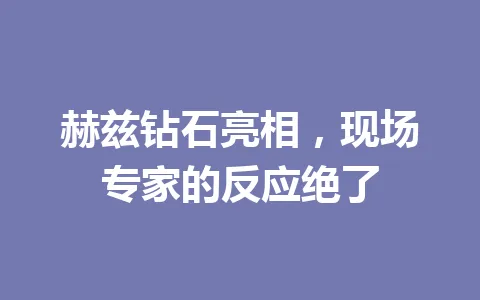 赫兹钻石亮相，现场专家的反应绝了 一