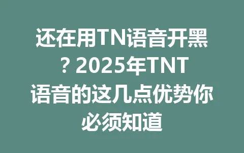 还在用TN语音开黑?2025年TNT语音的这几点优势你必须知道 一