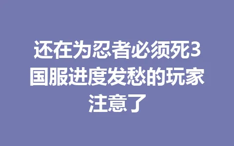 还在为忍者必须死3国服进度发愁的玩家注意了 一