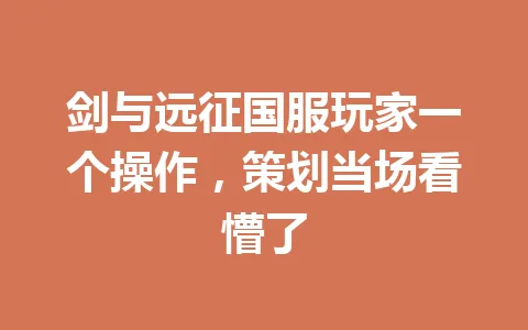 剑与远征国服玩家一个操作，策划当场看懵了 一