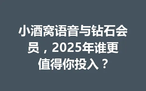 小酒窝语音与钻石会员,2025年谁更值得你投入? 一
