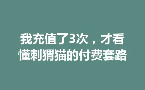 我充值了3次，才看懂刺猬猫的付费套路 一