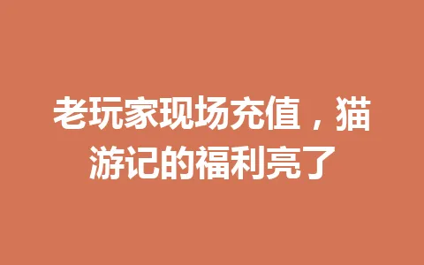 老玩家现场充值,猫游记的福利亮了 一