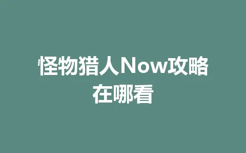 怪物猎人Now攻略在哪看 一