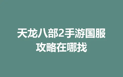 天龙八部2手游国服攻略在哪找 一