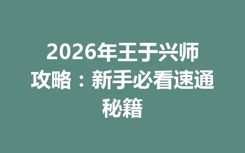 2026年王于兴师攻略：新手必看速通秘籍 一