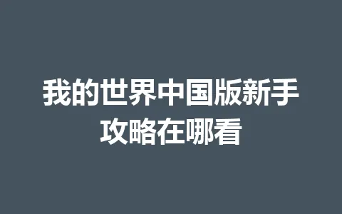 我的世界中国版新手攻略在哪看 一