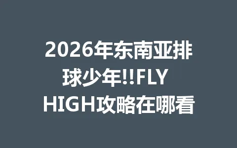 2026年东南亚排球少年!!FLY HIGH攻略在哪看 一