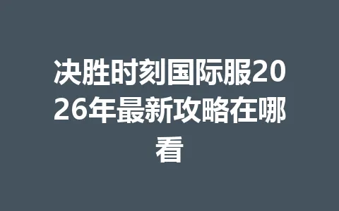 决胜时刻国际服2026年最新攻略在哪看 一