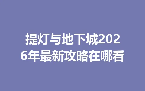 提灯与地下城2026年最新攻略在哪看 一