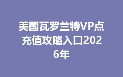 美国瓦罗兰特VP点充值攻略入口2026年 一
