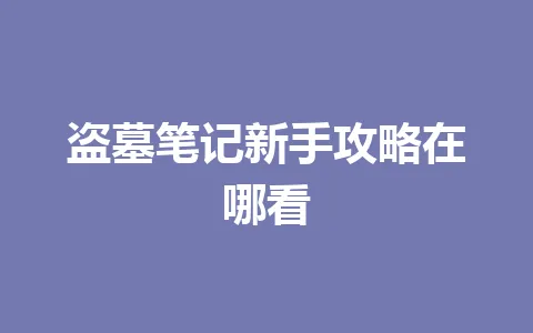 盗墓笔记新手攻略在哪看 一