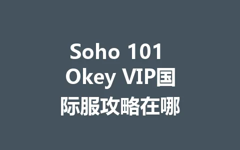 Soho 101 Okey VIP国际服攻略在哪 一