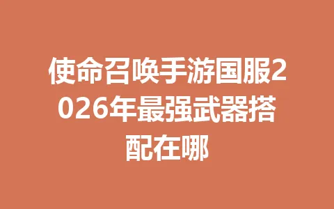 使命召唤手游国服2026年最强武器搭配在哪 一