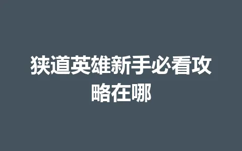 狭道英雄新手必看攻略在哪 一
